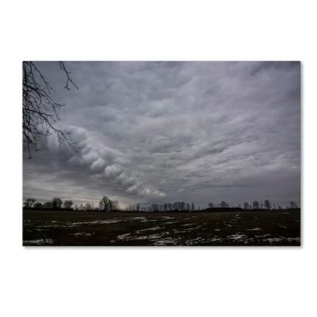 Kurt Shaffer 'Country Clouds' Canvas Art,16x24